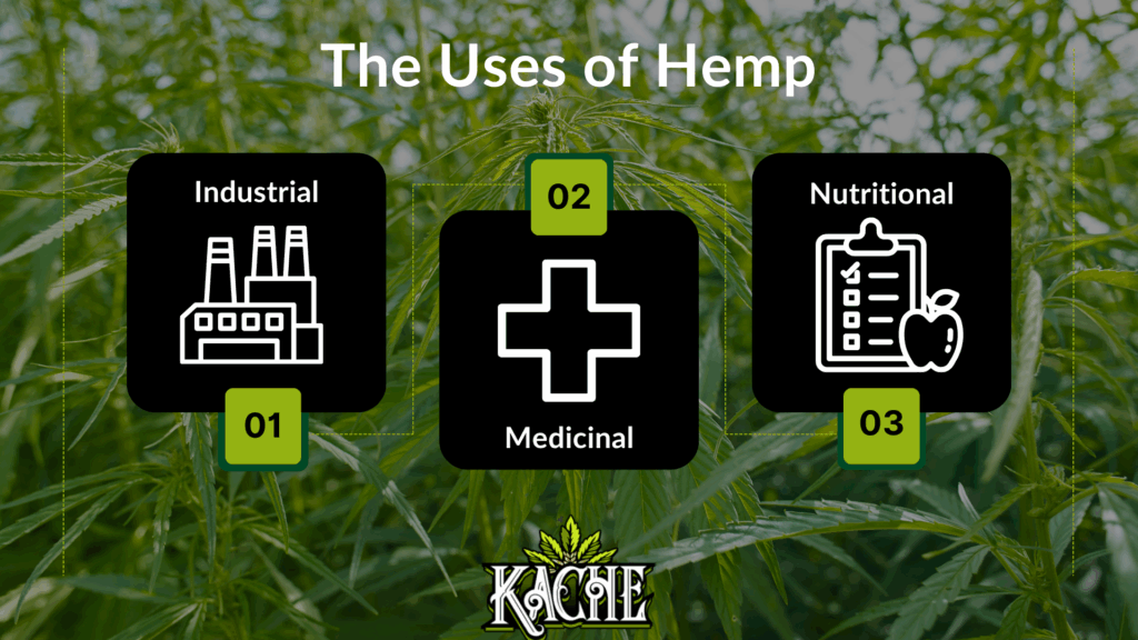 3 main uses of hemp over a background of hemp