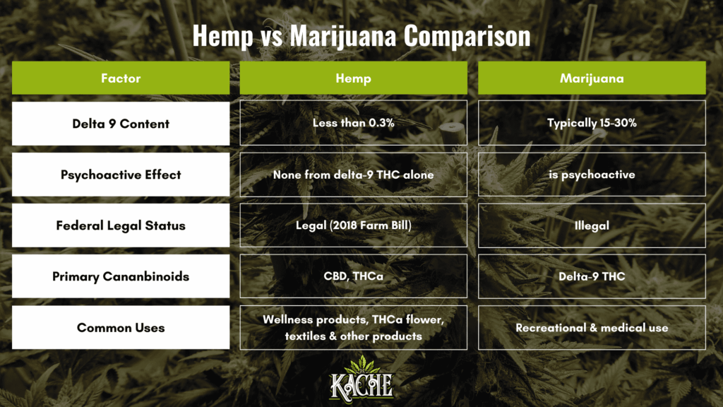 A table comparing Hemp to Marijuana